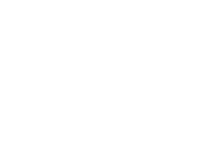 Pongo, LLC